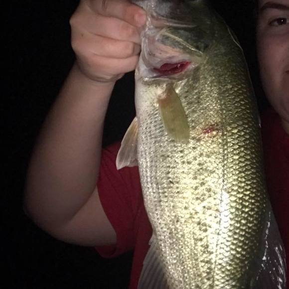 Meet your Posher, Austin - Picture 1 of 1